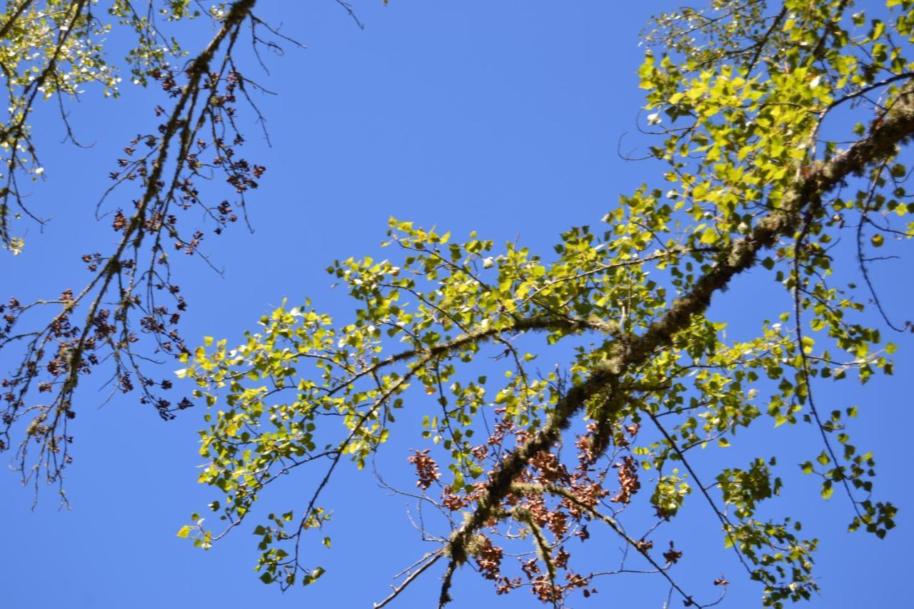 Nature Space 哈武戈 外观 照片